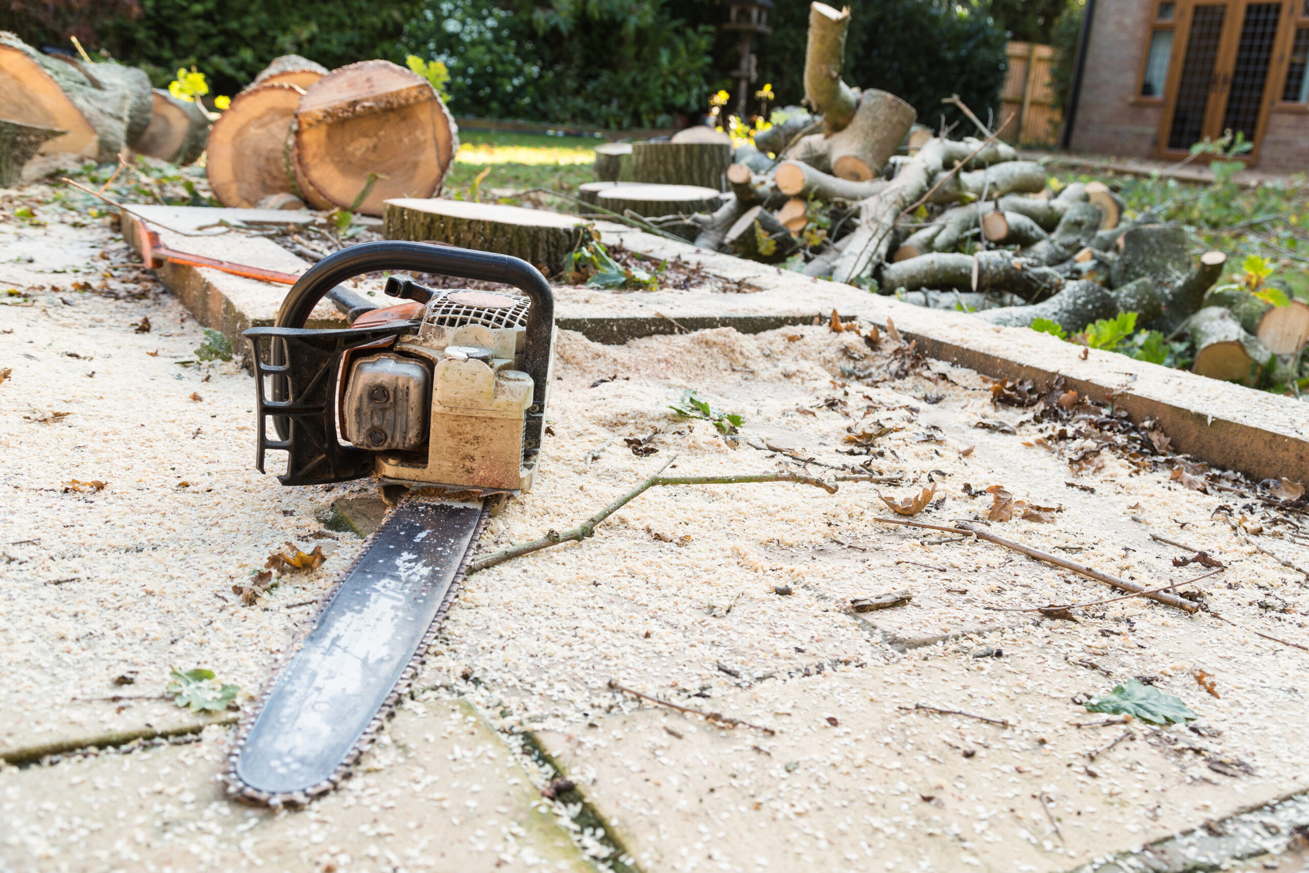 Chainsaw chopping trees, tree surgery.