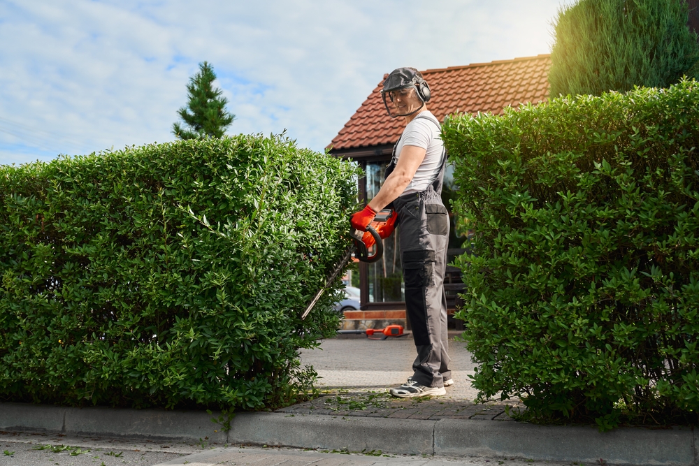 Hedge Cutting and Wildlife Considerations